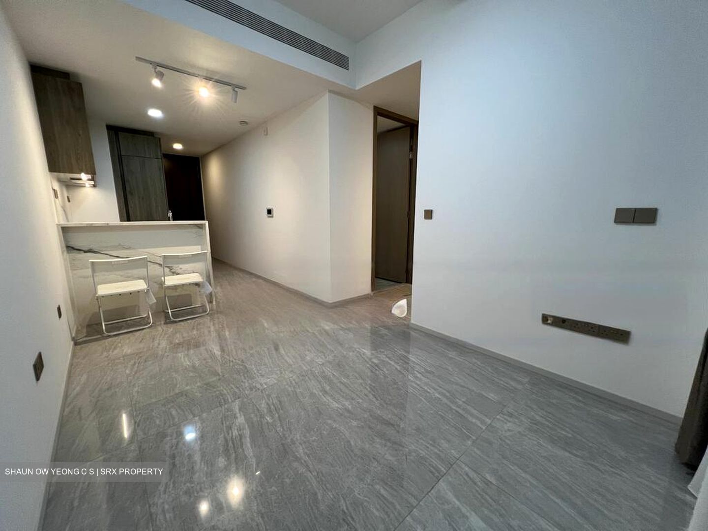 Leedon Green (D10), Condominium #432368941